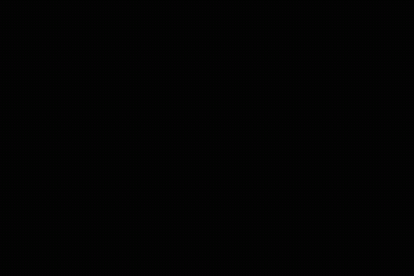 LISA와 MINO, 아디다스 마이쉘터를 입고 도심을 누비다