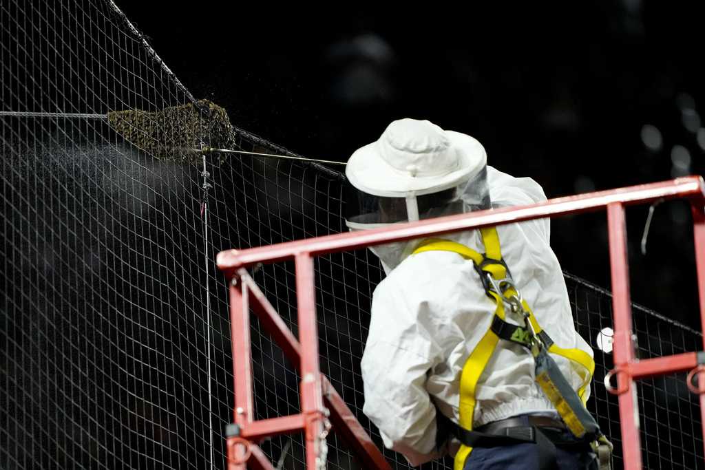 A swarm of bees created quite a baseball buzzkill in the desert