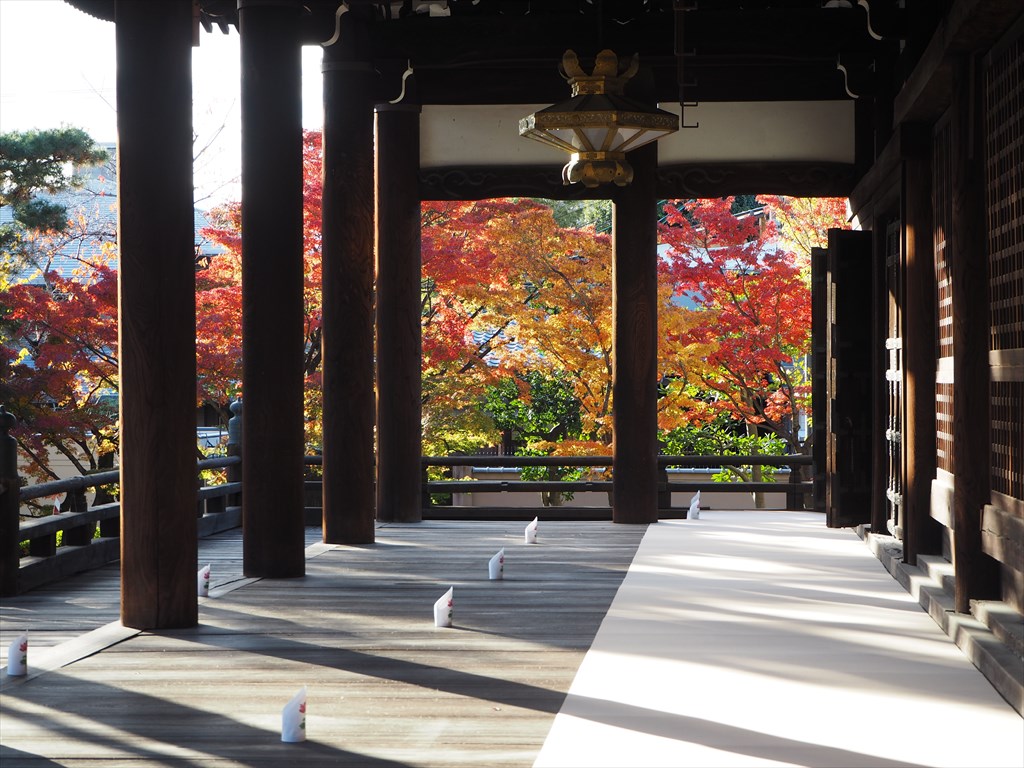 妙 顕 寺 紅葉