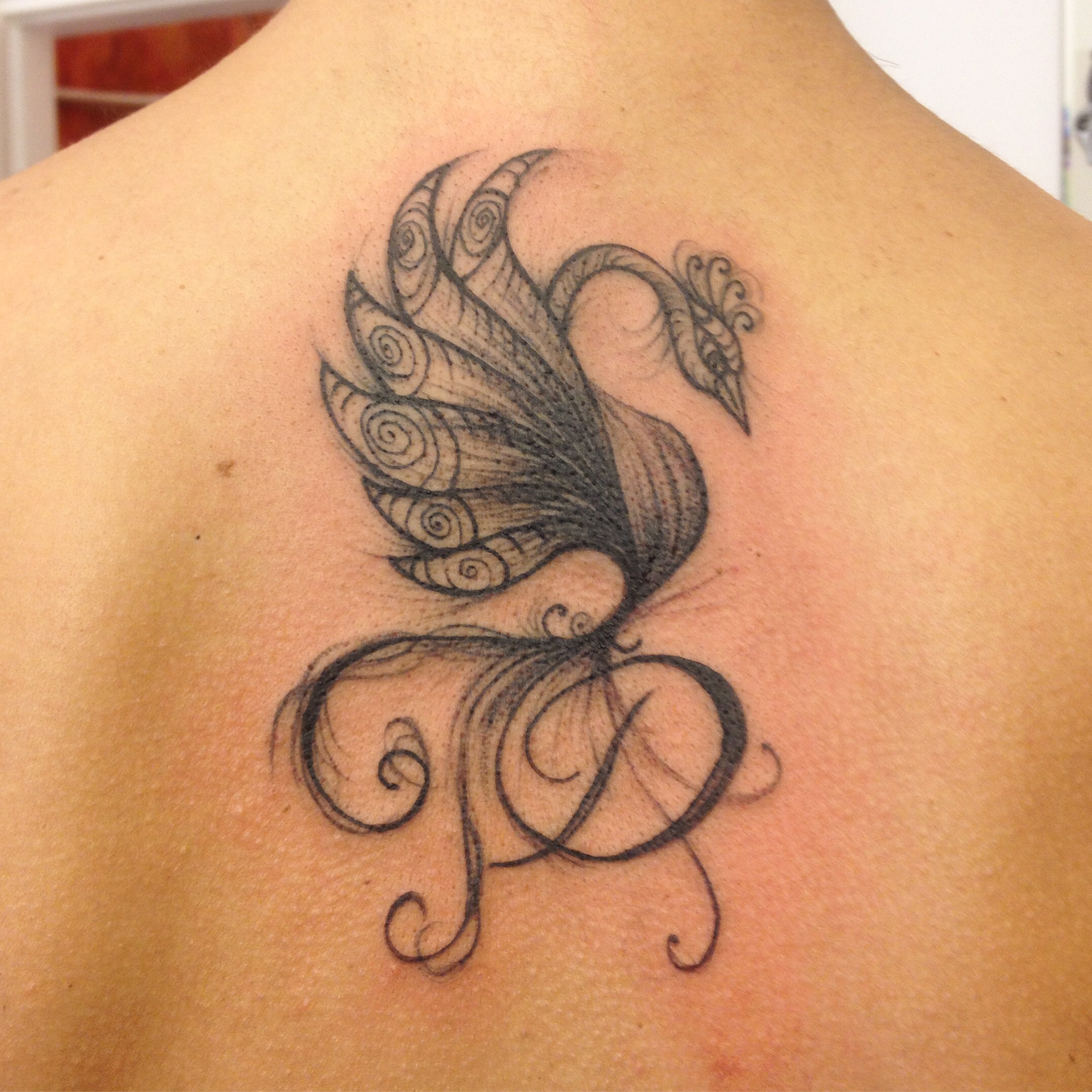 Fenice – Tattoo – Laperfida Art & Tattoo 2156_x_2156_jpg