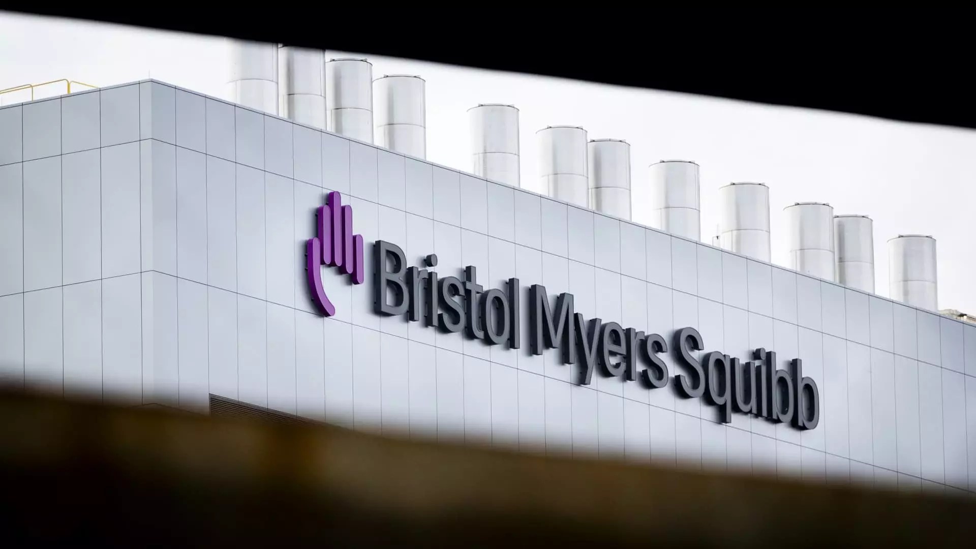 The Rise and Challenges of Bristol Myers Squibb in the Pharmaceutical Industry