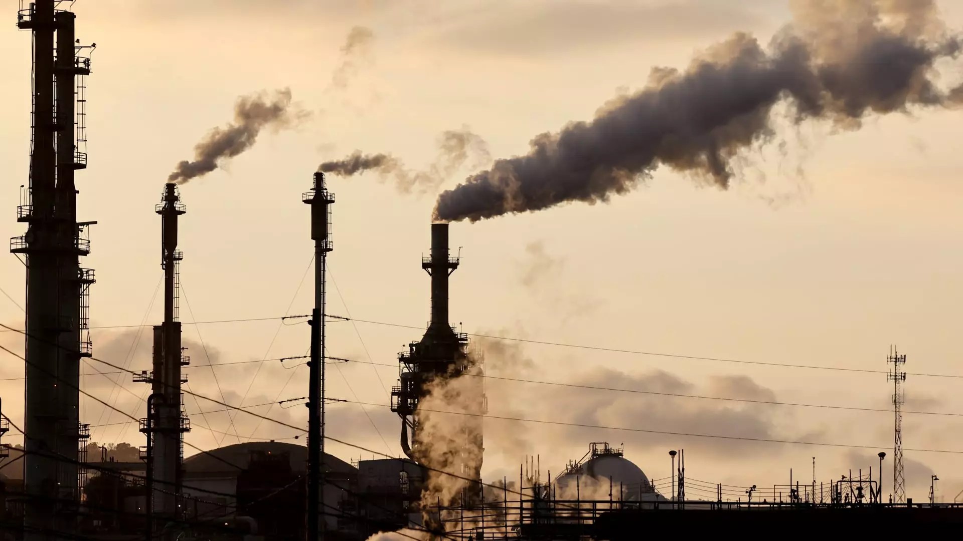 The Stock Market Landscape Following Trump’s Re-election: Opportunities and Insights