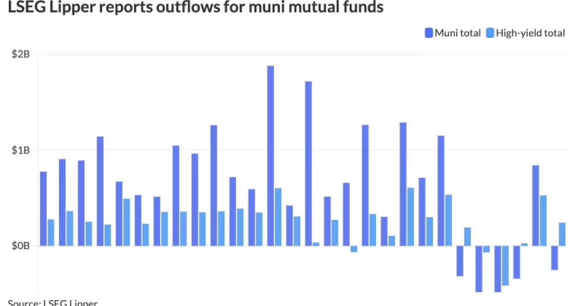 An In-Depth Analysis of Recent Trends in the Municipal Bond Market