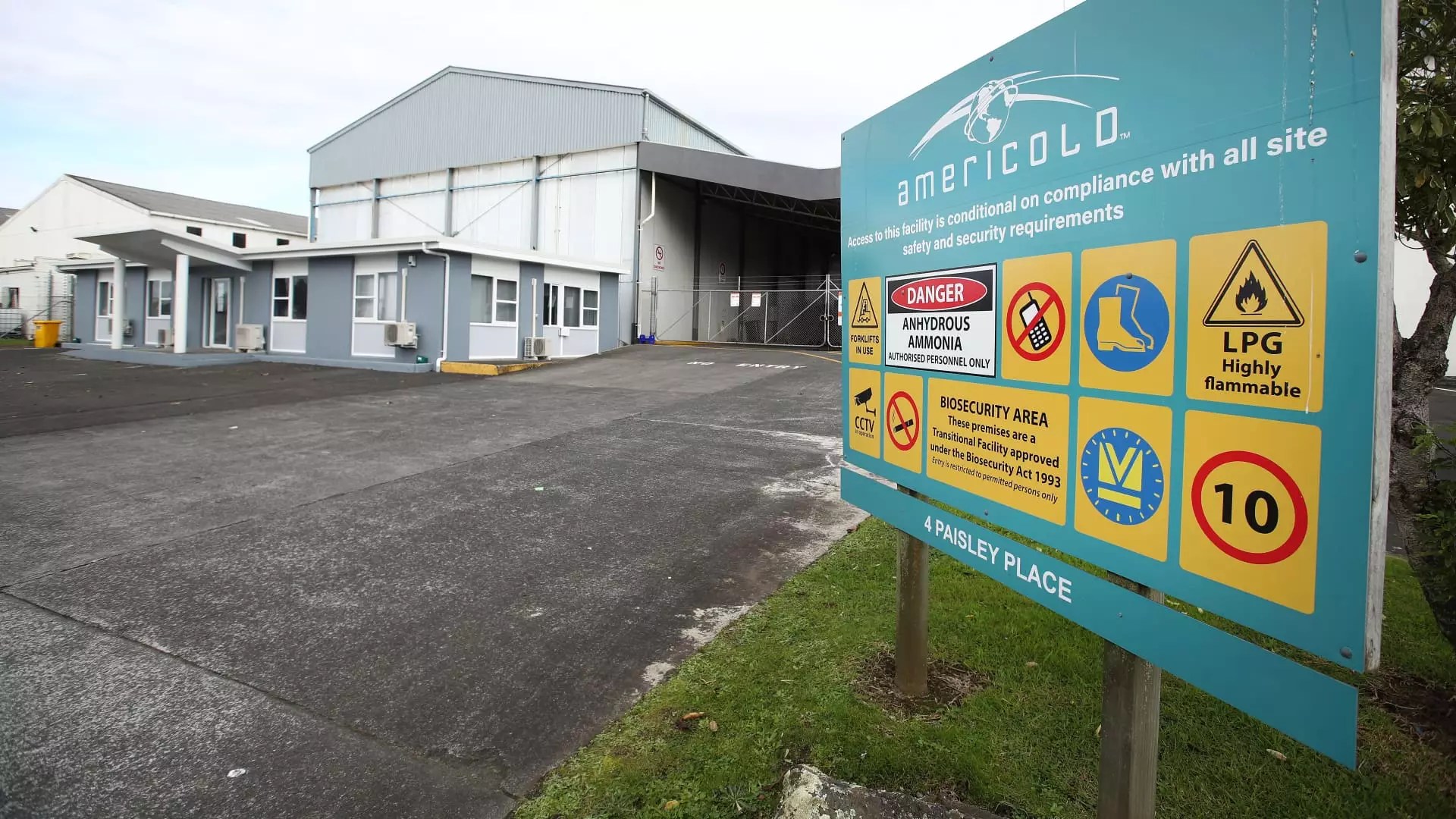 5 Dividend-Driven REITs That Could Defy Market Despair Amidst Tariff Turmoil