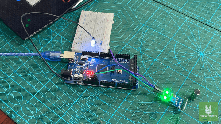 Getting Started With Reed Switch Sensor A Beginner S Guide Circuitrocks