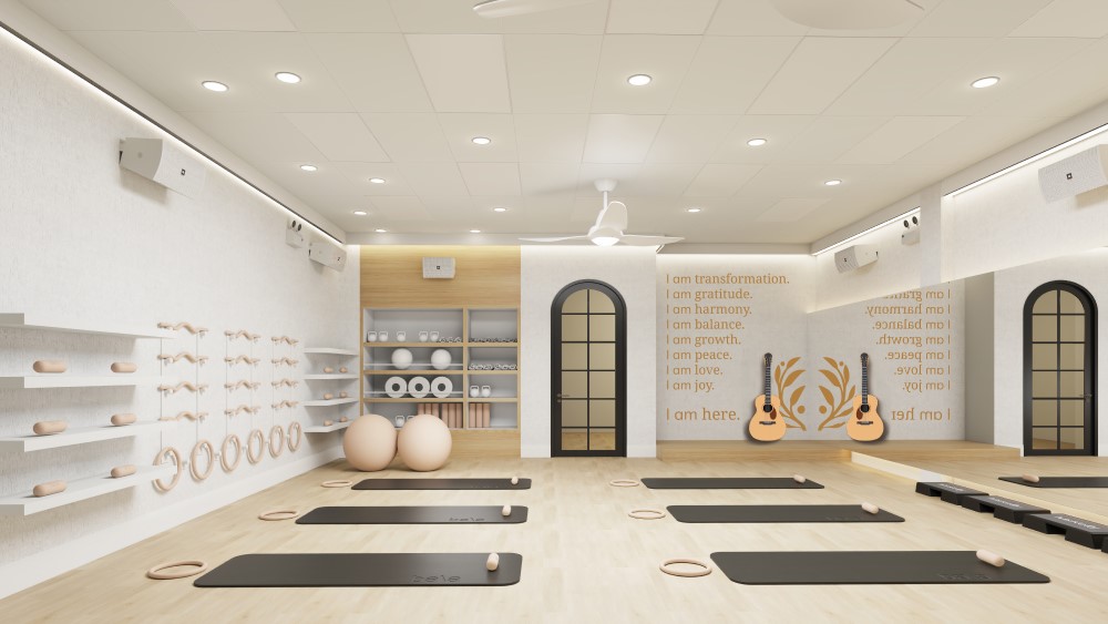Revolutionary Music-Yoga Fitness Program Launch by Touring Singer on LI