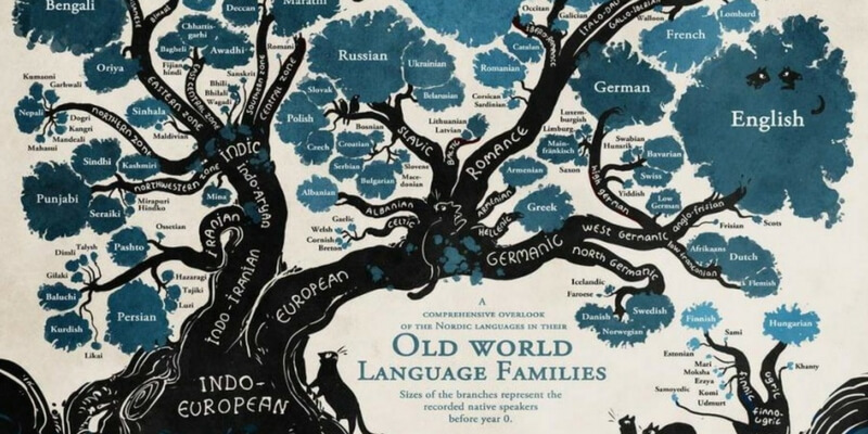 L'albero Genealogico Di Tutte Le Lingue Del Mondo 400_x_800_jpg