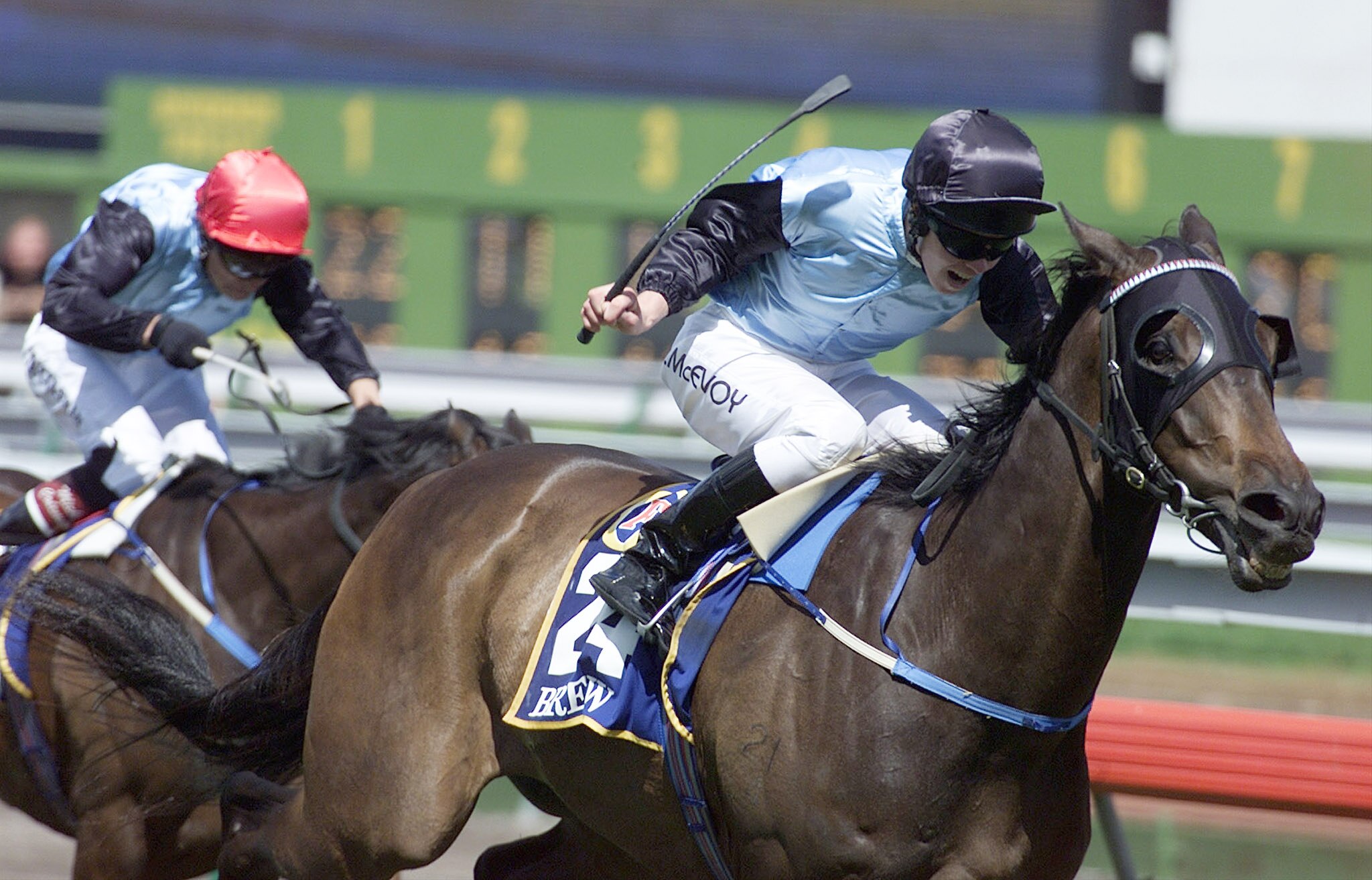 The horse, the prep, the race itself — how to win the Melbourne Cup