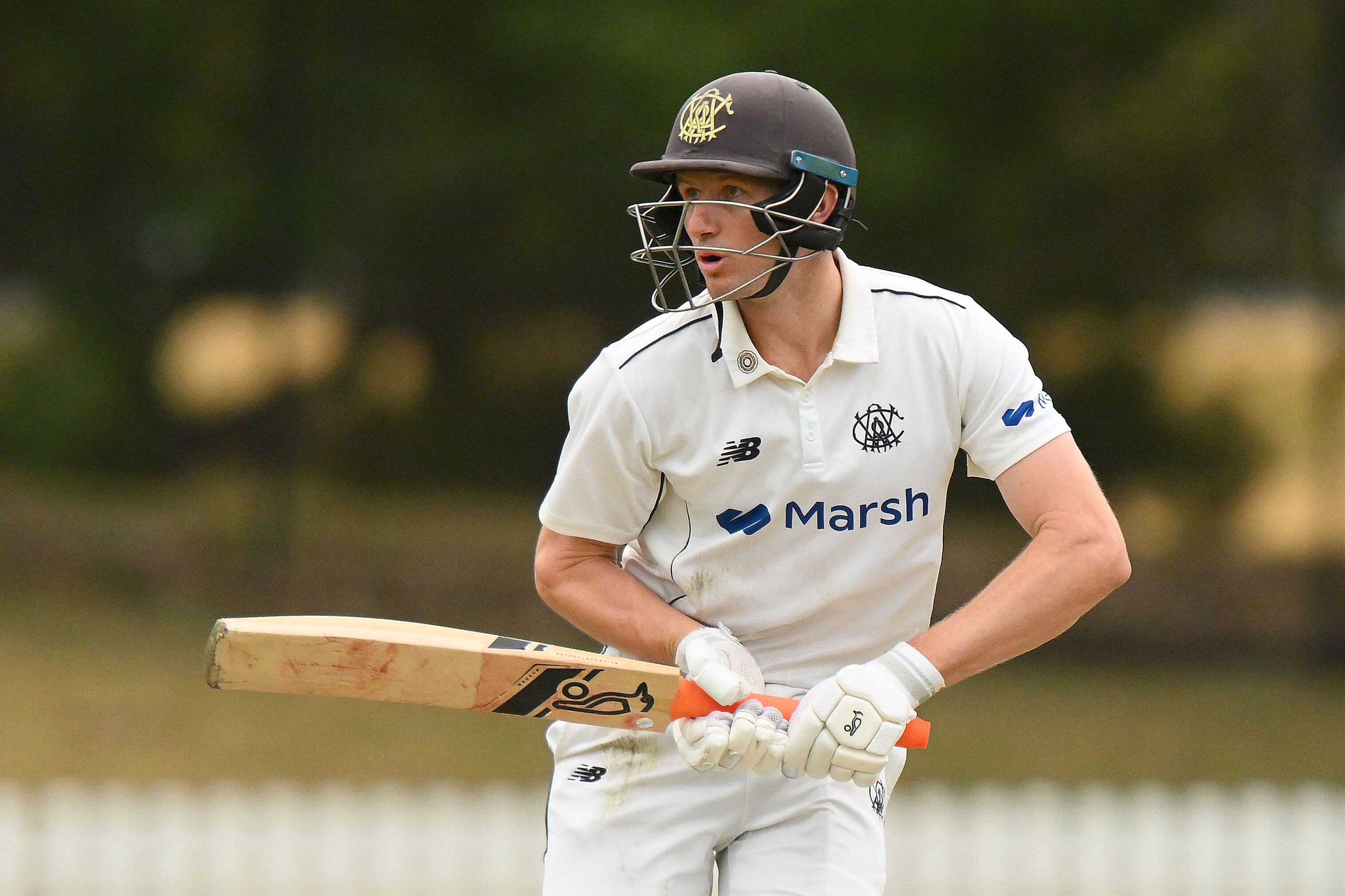 WA star opening batter Cameron Bancroft ruled out of Sheffield Shield final after bike fall