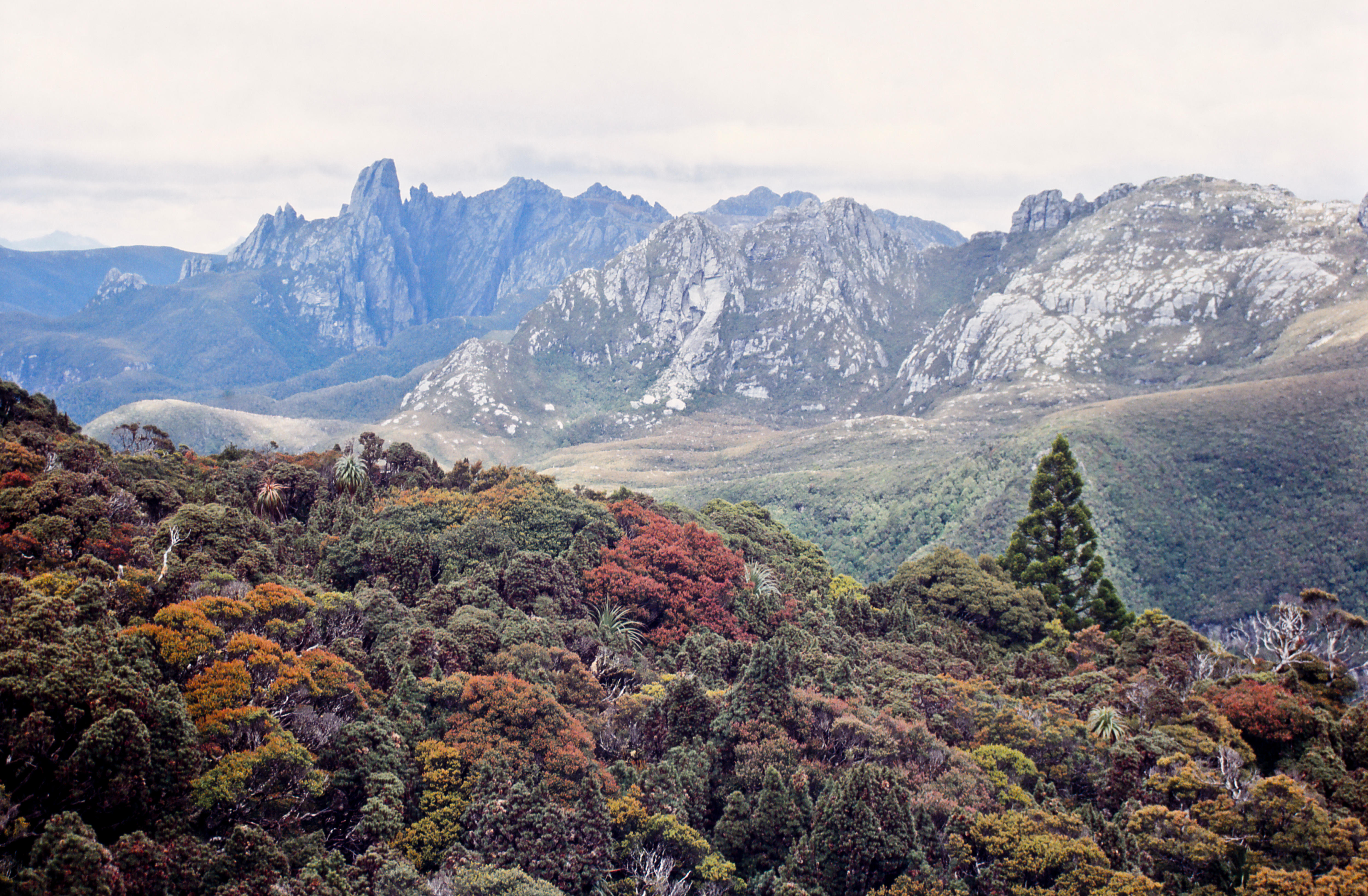 Cliff Fall Sparks Dramatic Rescue in Tasmania’s Federation Peak Area