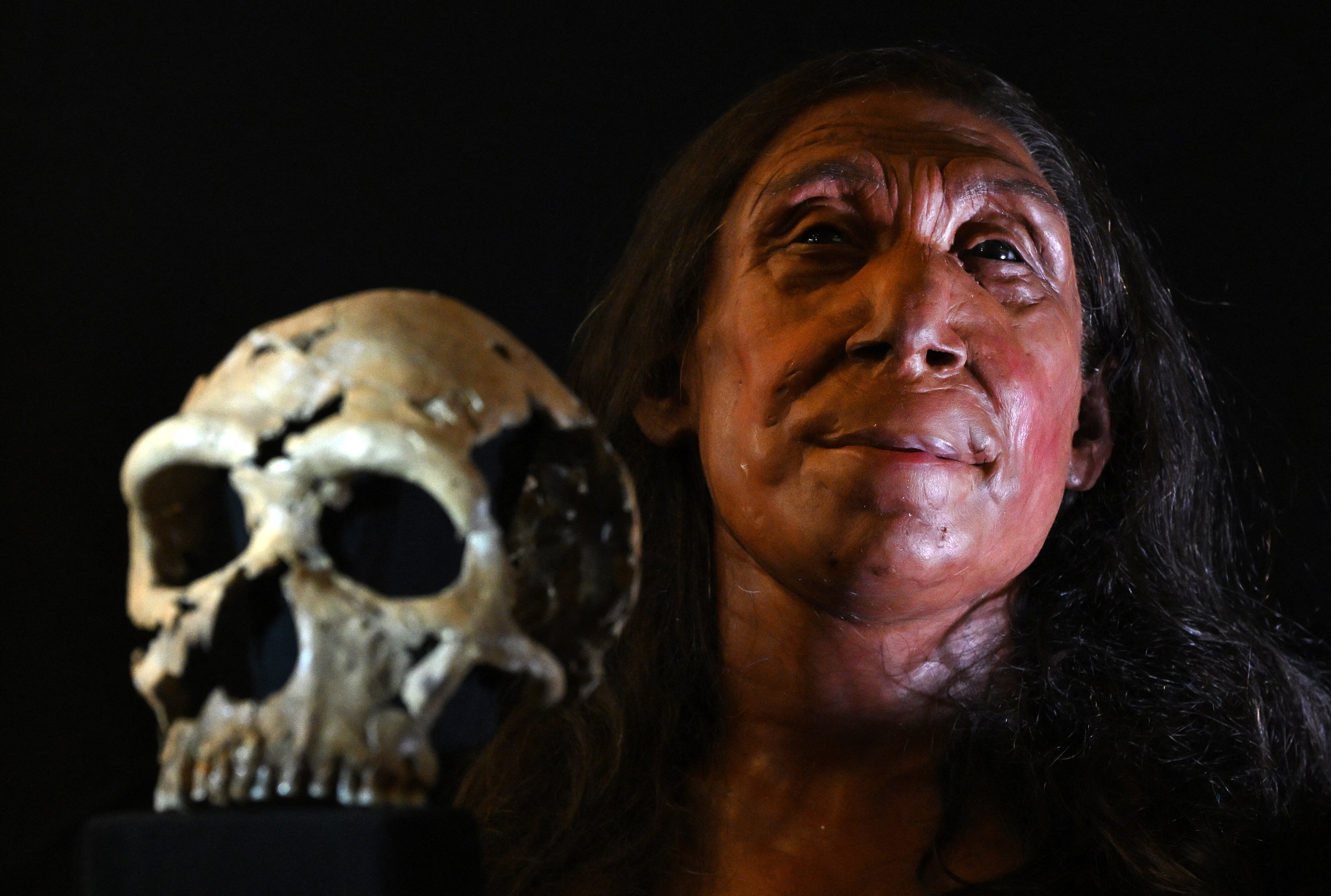 UK Archaeologists Reveal Reconstructed Face Of 75,000yo Neanderthal Woman - Vimarsana News