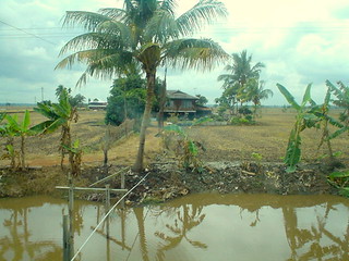 Rumah Kampung Di Tepi Sawah | Aaah..rindunya Pemandangan Ini… | Flickr 240_X_320_jpg