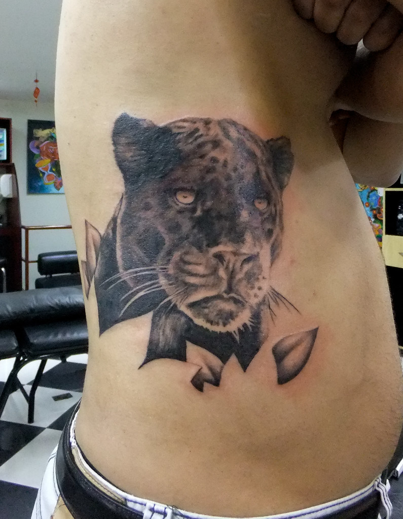 Pantera Negra(Cobertura De B) | Black Panther (B Cover-Up) | Flickr 1023_x_795_jpg