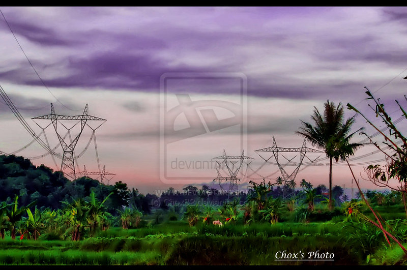 Pemandangan Sawah Di Pagi Hari | Via Blogger Ift.tt/2Hs96Kc | Flickr 531_X_800_jpg