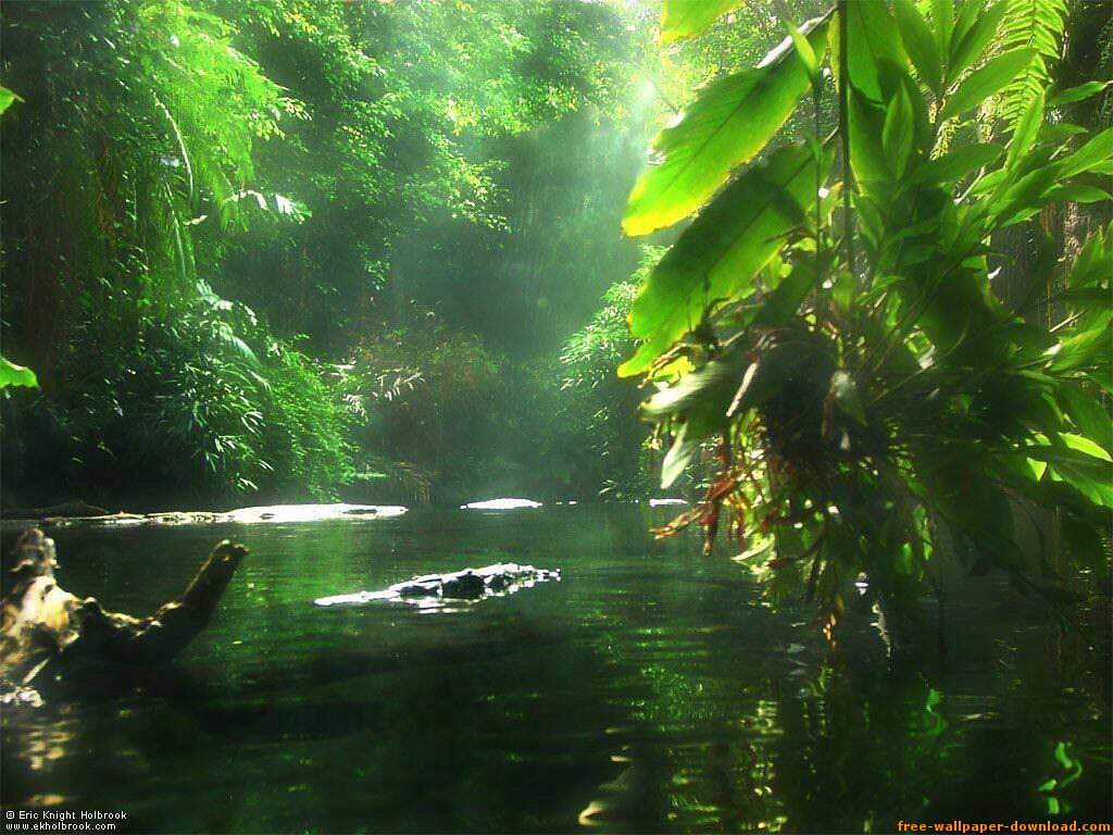 Gambar Lingkungan Alam Yang Indah | Via Blogger Bit.ly/2Led7… | Flickr 768_X_1024_jpg