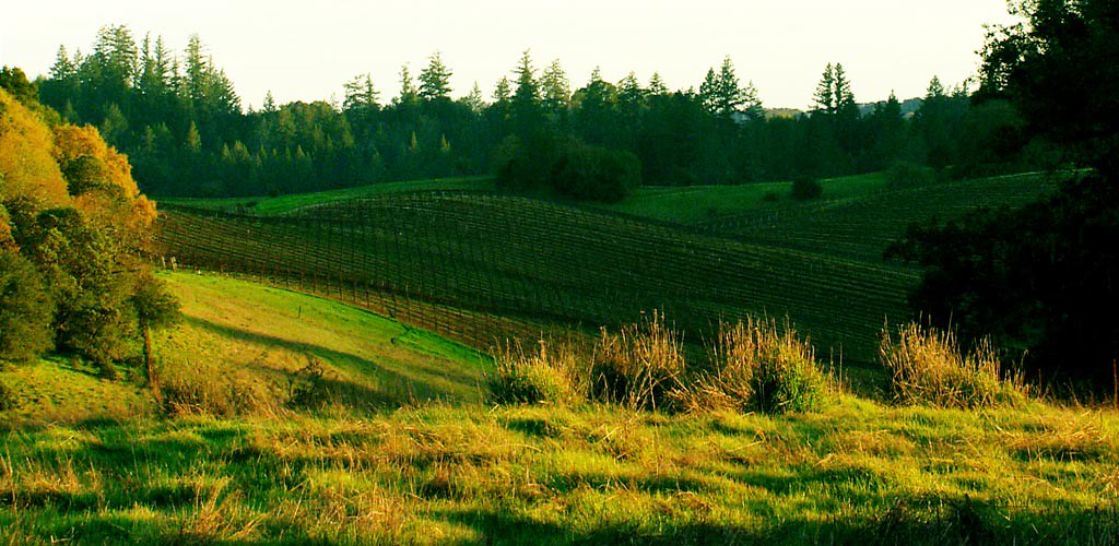 Wallpaper Pemandangan Alam Yg Indah | Via Blogger Bit.ly/2Ah… | Flickr 500_X_1024_jpg