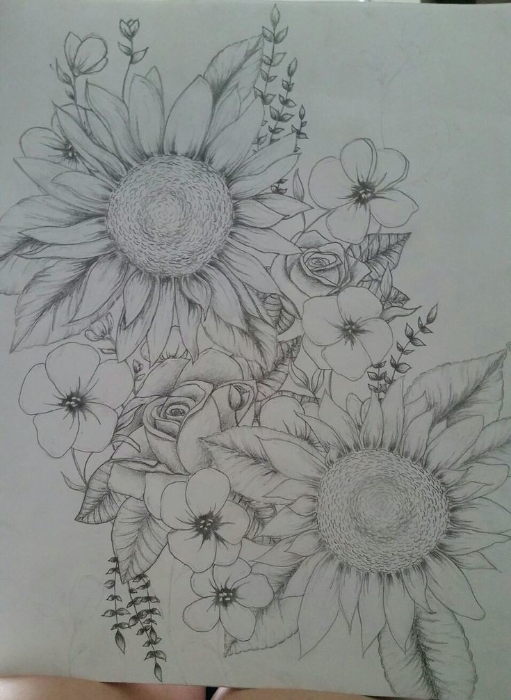 Flowers Drawings : Sunflowers And Roses, Possible Tattoo | Flickr 1006_x_735_jpg