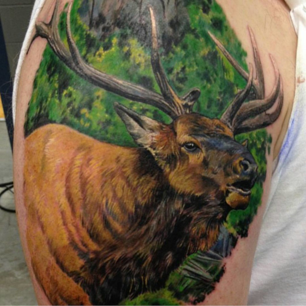 Bull Elk - Joey Hamilton @Joeyhamiltontattoo - Las Vegas, … | Flickr 1024_x_1024_jpg