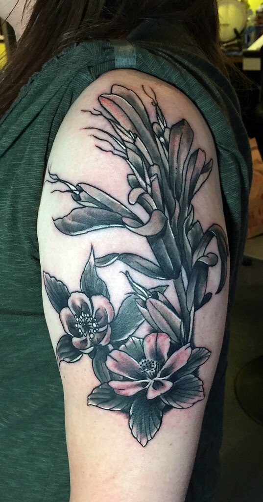 Columbines And Indian Paint Brush Tattoo | Tattoo And Design… | Flickr 1024_x_537_jpg