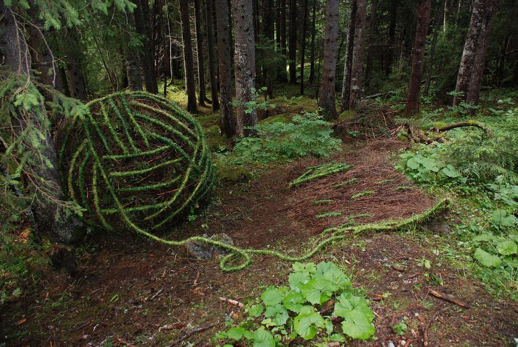 13 Grindelwald Landart Festival 001 Svizzera Giugno 2011 Flickr