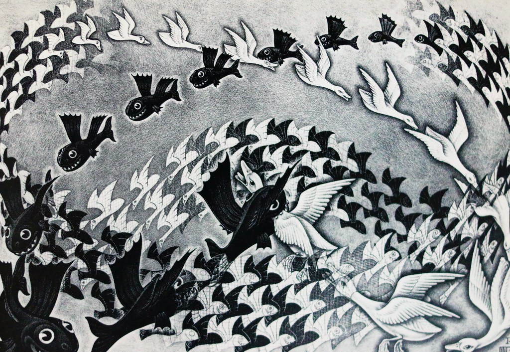 1951 Predesinatie M C Escher 1898 1972 Leen Steenvoorde Flickr