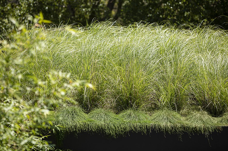 Landscaped Grass This Image Was Taken By Landart Landscape Flickr