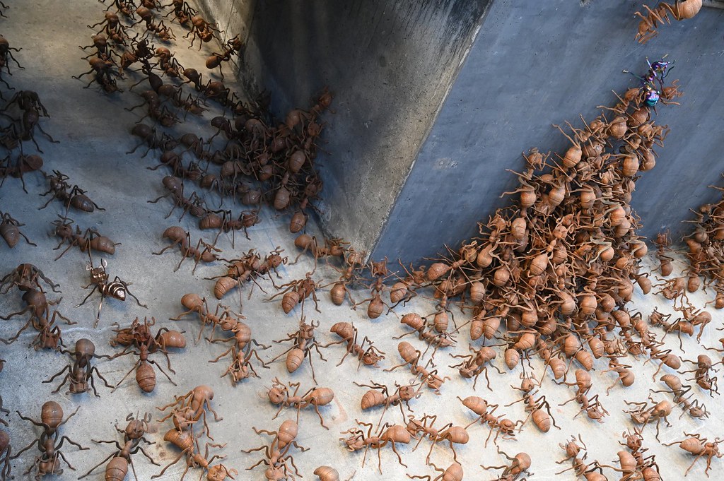 Ants On The Move Carlshutte Budelsdorf Germany Nordart 2 Andyfloe Flickr