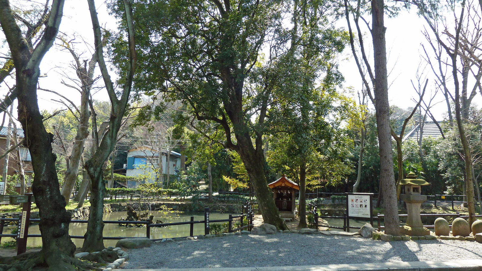 熊野 神社 市民 の 森