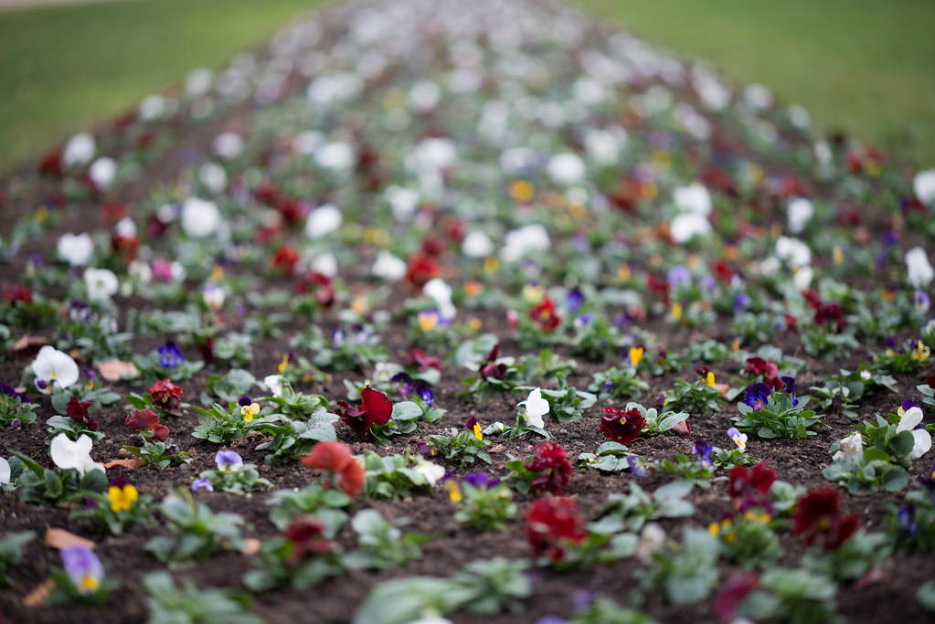 Zeiss Milvus 85 1 4 Zf 2 At F 1 4 Www Verybiglobo Com Martin Flickr