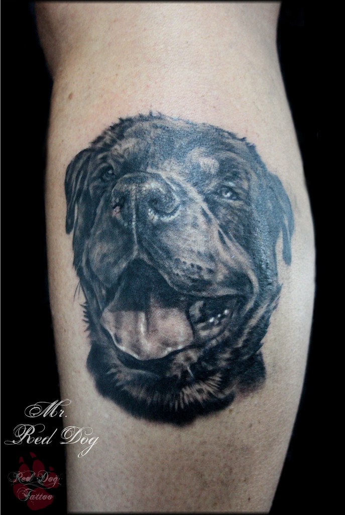 Rottweiler Portrait | Done At Red Dog Tattoo Benalmadena Cos… | Flickr 1024_x_687_jpg