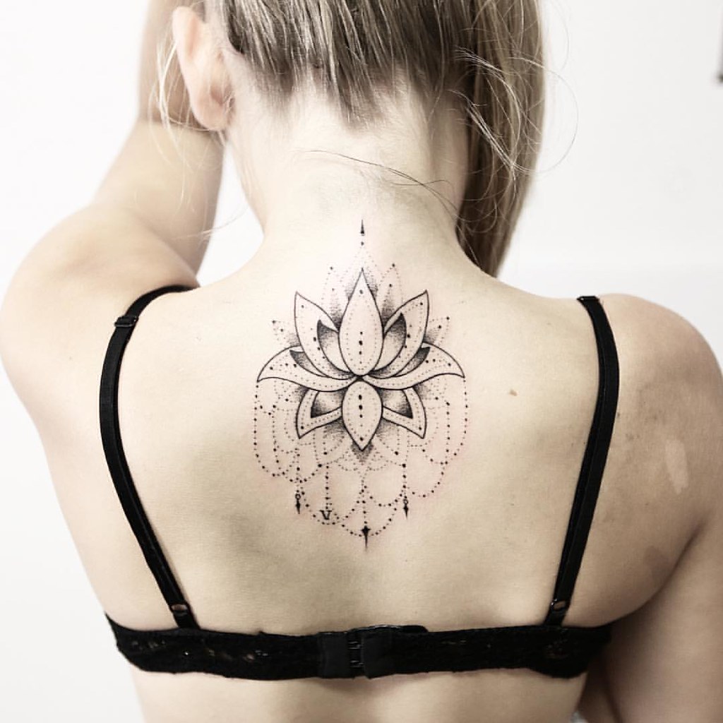 Et Un Petit Lotus De Plus. Celui De Clara. Merci Clara #Ta… | Flickr 1024_x_1024_jpg