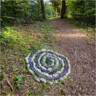 Spirale Flider Taubnessel Landart Hanspeter Ryser Flickr