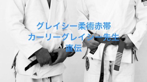 カーリー グレイシー