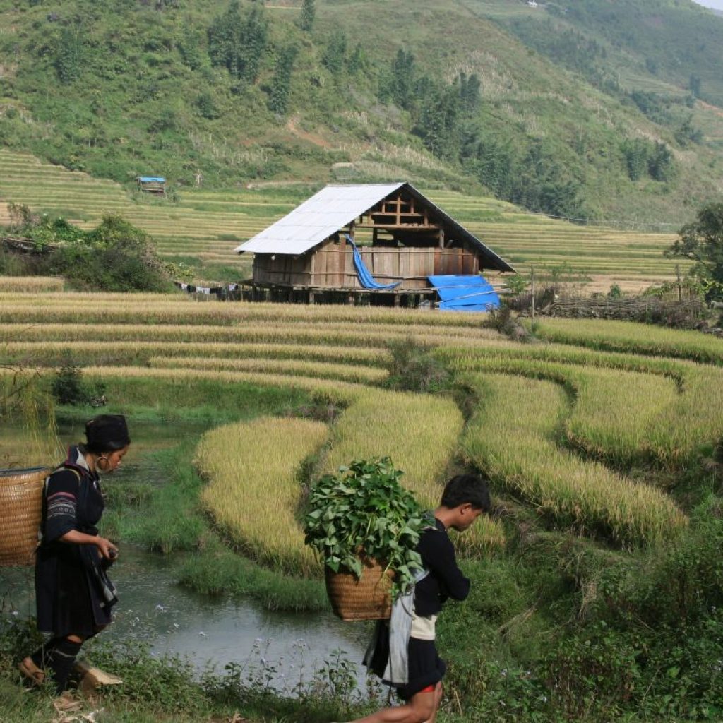SAPA TRIPS – Les 6 meilleurs voyages pour tous les niveaux de compétence
