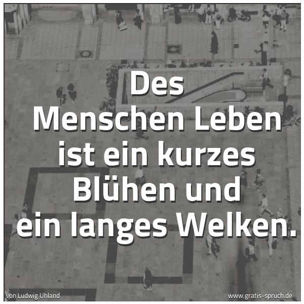Spruch 'Des Menschen Leben Ist Ein Kurzes Blüh...' Und Weitere Sprüche, Zitate Und Weisheiten | Gratis-Spruch.de 600_x_600_jpg