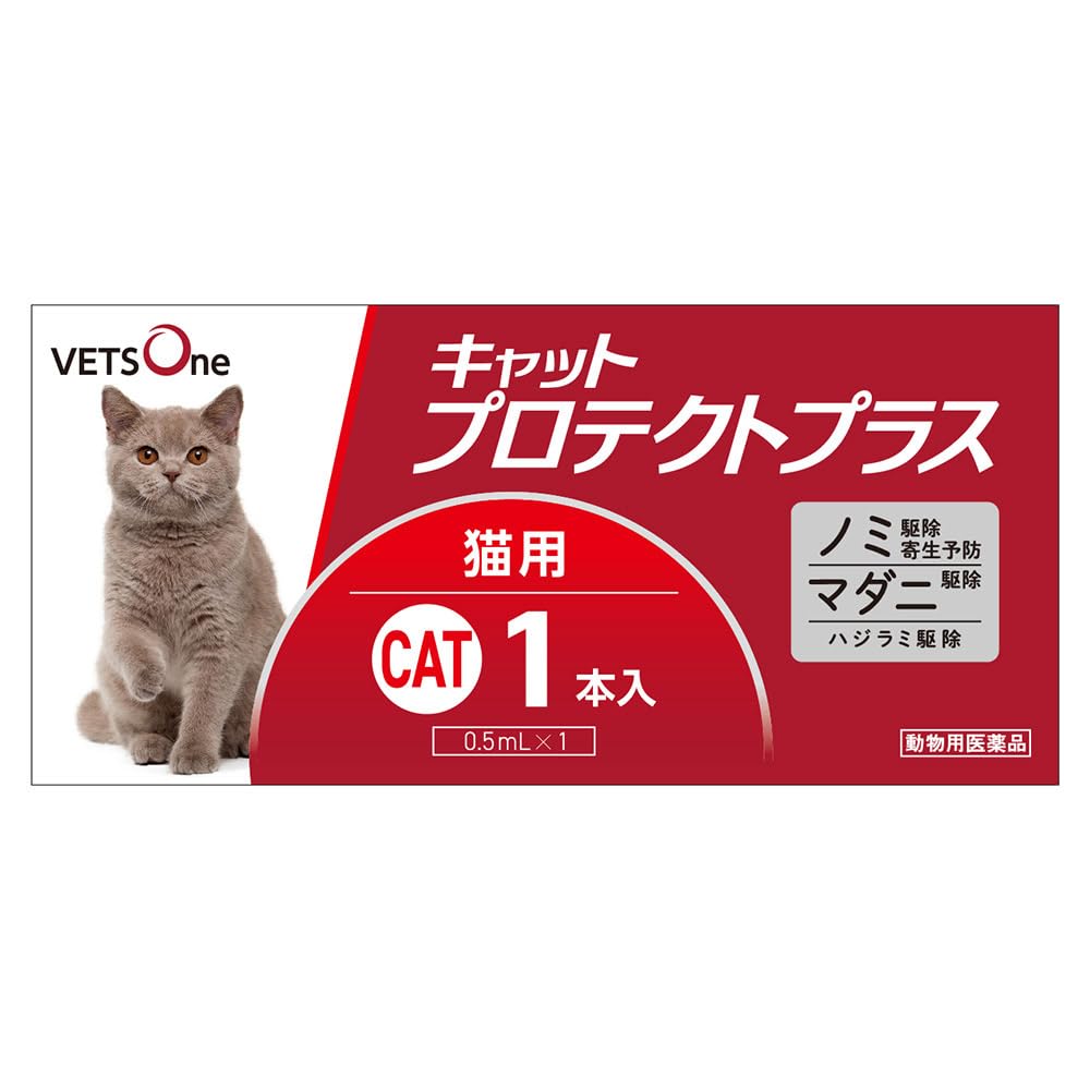 Amazon.co.jp: 【動物用医薬品】ベッツワン キャットプロテクトプラス 猫用 1本 : ペット用品 猫 駆虫 薬