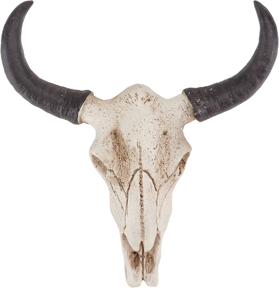 Amazon.com: Homoyoyo Long Horn Cow Skull Resin Wall Hanging Horn Skulls Steer Bull Head Sculpture Halloween Animal Skull Steer for Art Crafts Ornaments Home Wall : Home & Kitchen