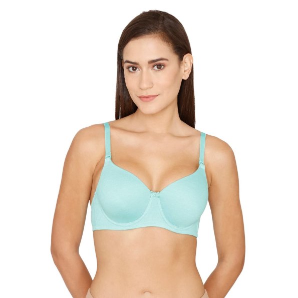 Rosaline Padded Wired 3/4th Coverage T-Shirt Bra for Women – Florida Key