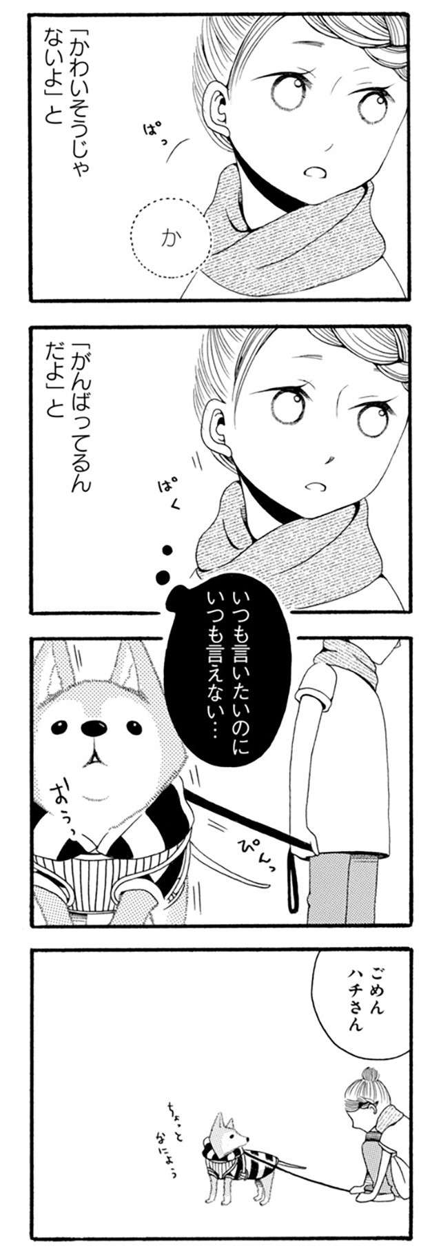 老犬は「かわいそう」ではない。愛犬の生き様/96歳の柴犬ハチさんは、今日もお散歩しています。 | 毎日が発見ネット