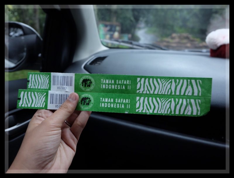 Pengalaman Liburan di Taman Safari – Mas Mufid Store