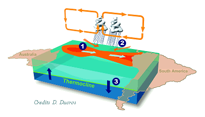 El Nino dan La Nina | A.R. As-syakur