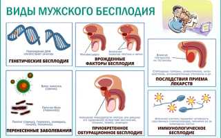 Сколько Восстанавливается Сперма После Секса