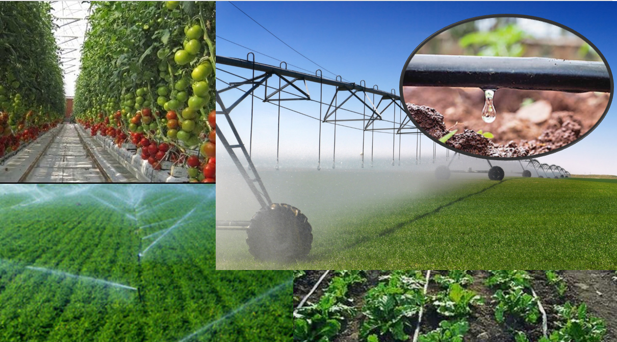 tante vs bocah sd bandung