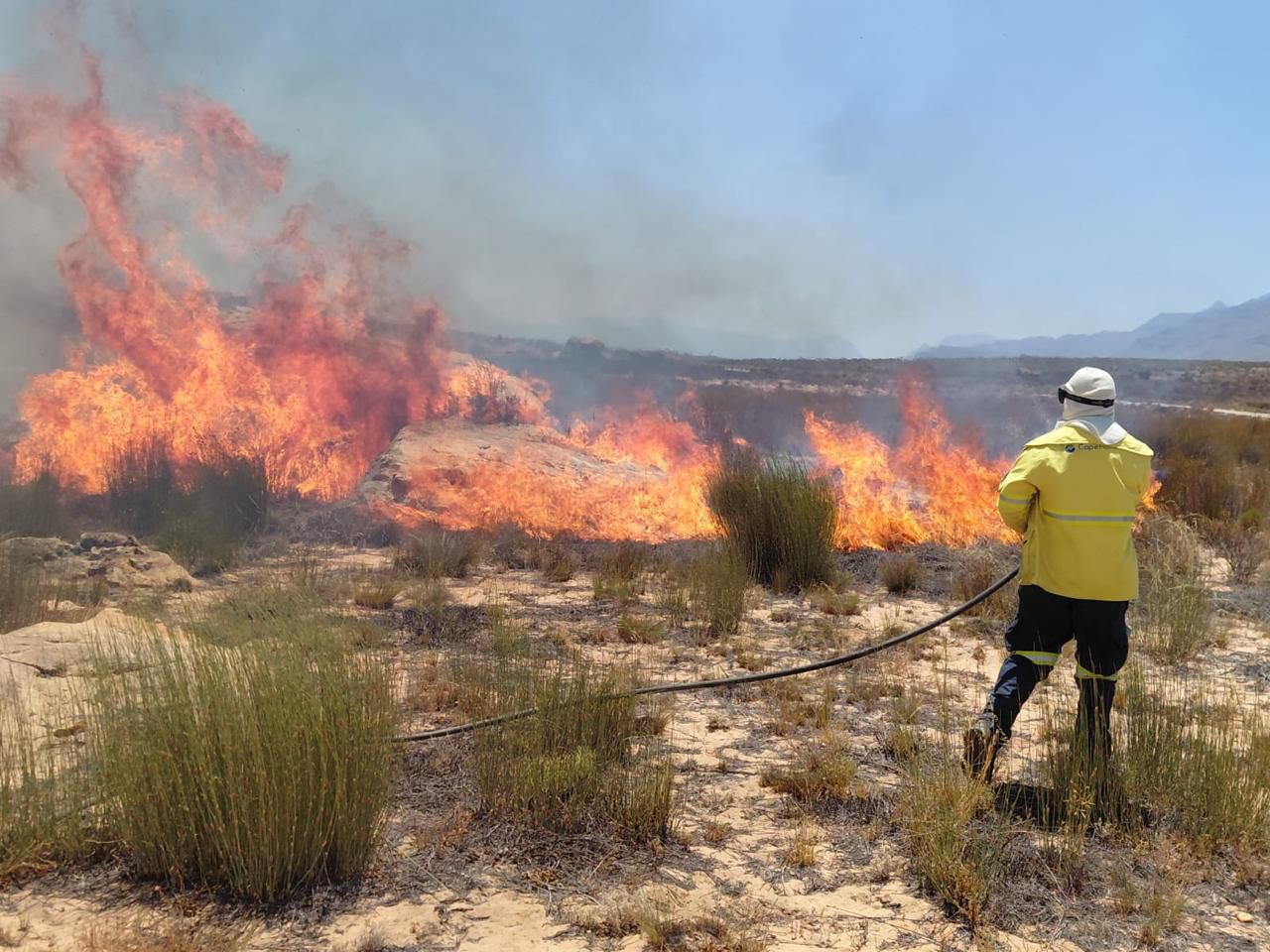 DA welcomes CapeNature’s extensive recovery plan for fire-ravaged Cederberg
