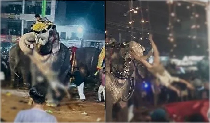 திருவிழாவில் யானை தாக்கியதில் 21 பேர் காயம்!