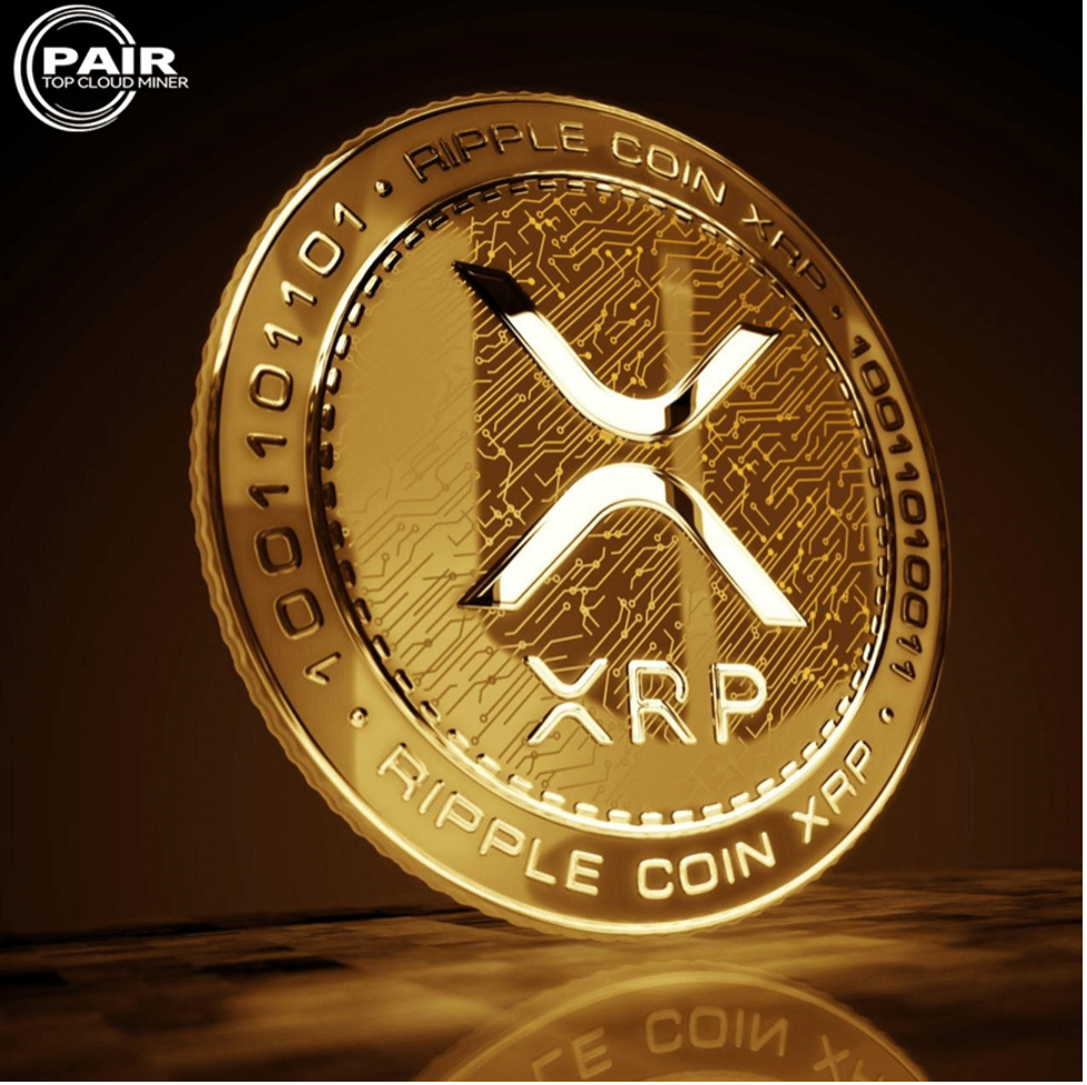 Global Investors Can Easily Earn Up to k/Day through PAIR Miner Cloud Mining
