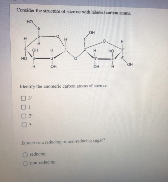 Solved Consider The Structure Of Sucrose With Labeled Carbon Chegg Com
