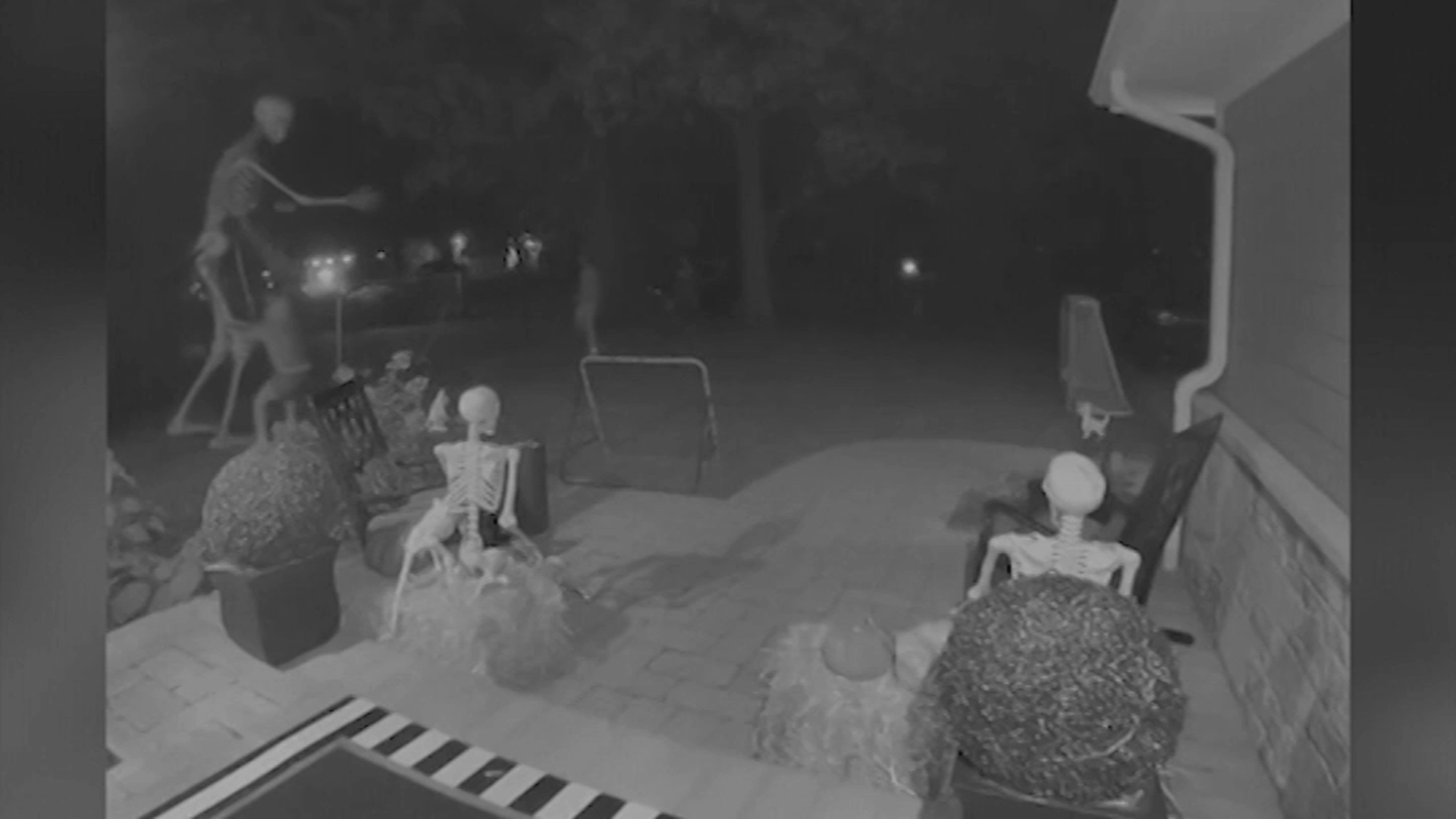 Vandals Destroy Glenview Family’s Halloween Decor