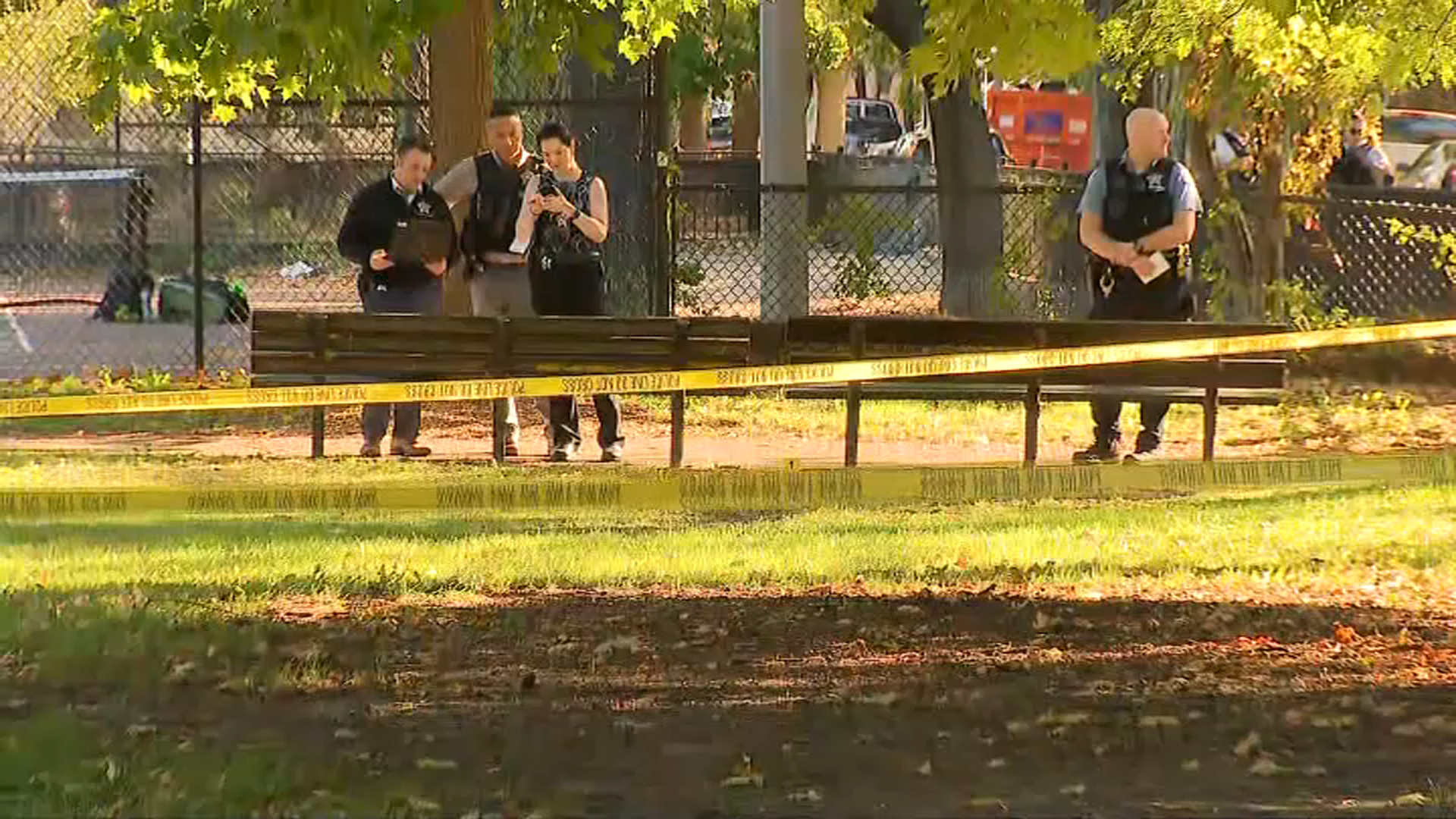 Boy Seriously Hurt in Hamlin Park Shooting