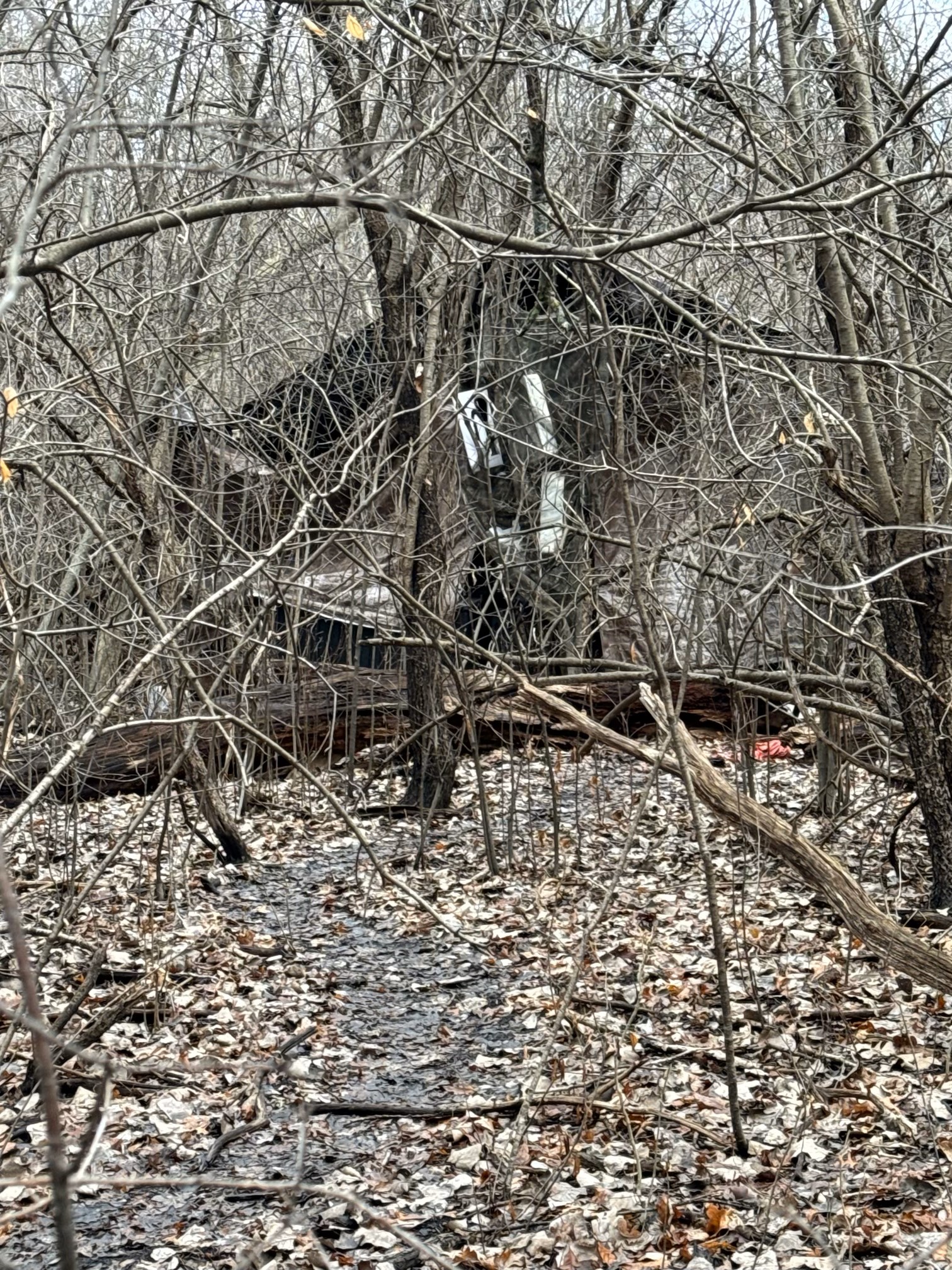 SWAT Response to Barricaded Lake County Suspect Ends with Arrest